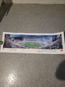 BENGALS WHITEOUT PANORAMIC SIGNED BY 10